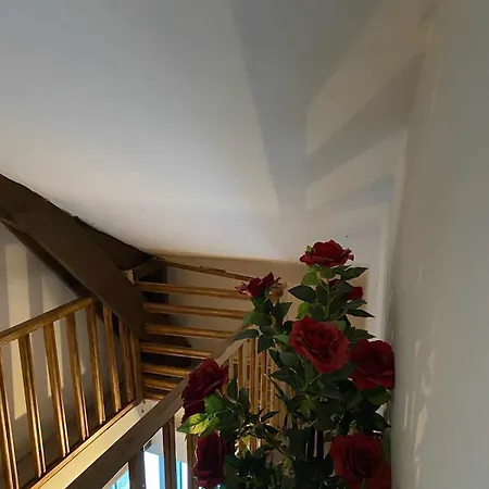 Maison Nyno Digraben *